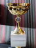 boxing trophy
